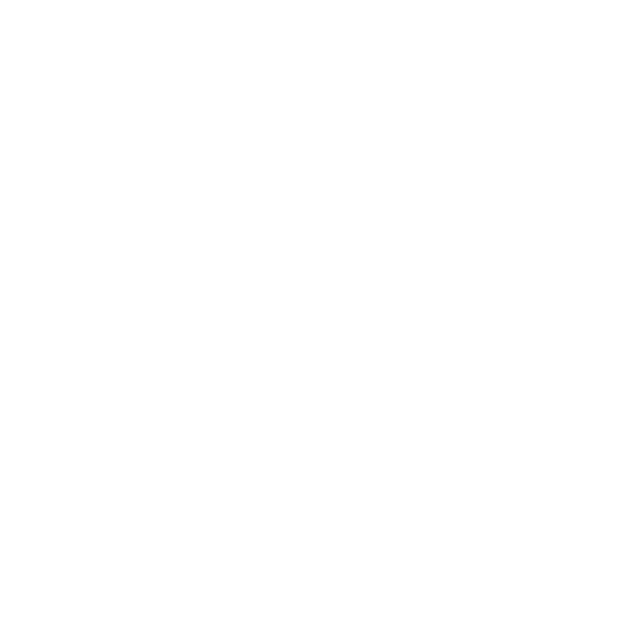 logo Team First Event